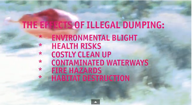 effects of illegal dumping